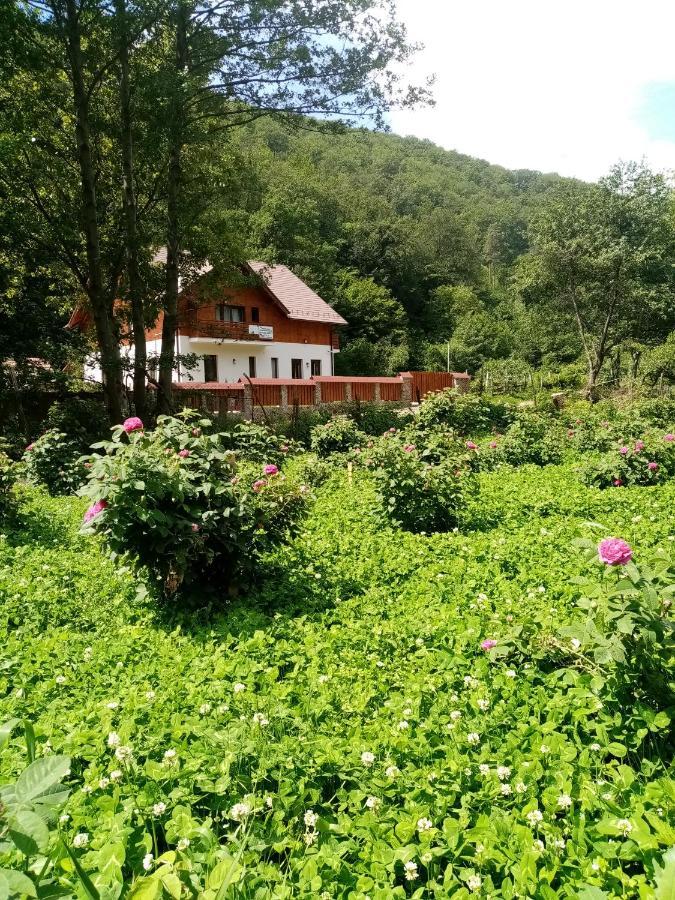 Livada Amely Hotel Gales Екстериор снимка