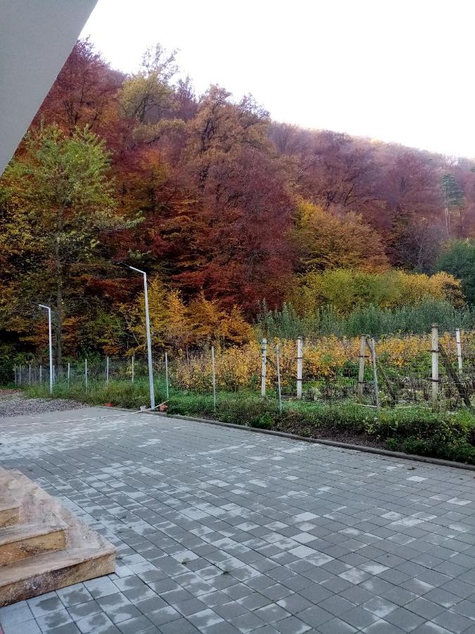 Livada Amely Hotel Gales Екстериор снимка