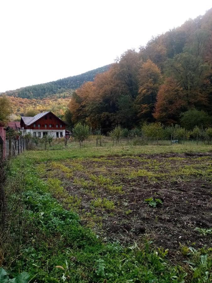 Livada Amely Hotel Gales Екстериор снимка